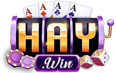 vnhaywin.com Logo